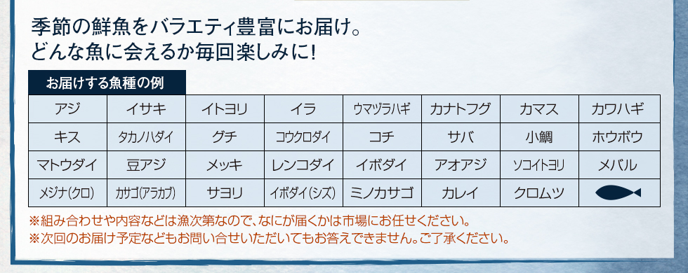 季節の鮮魚をバラエティ豊富にお届け。どんな魚にあえるか毎回お楽しみに！