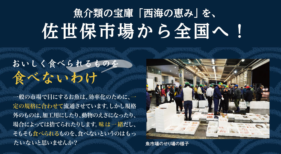 魚介類の宝庫「西海の恵み」を佐世保市場から全国へ。おいしく食べられるものを食べないわけ