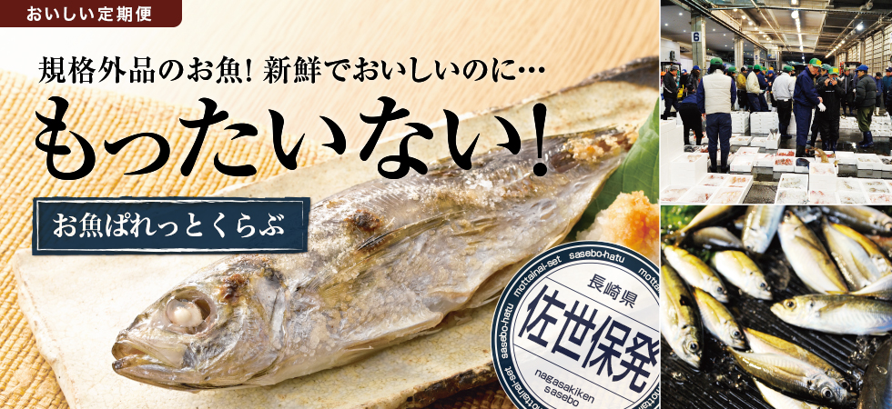 規格外品のお魚　新鮮でおいしいのにもったいない。お魚ぱれっとくらぶ