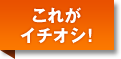 これがイチオシ！