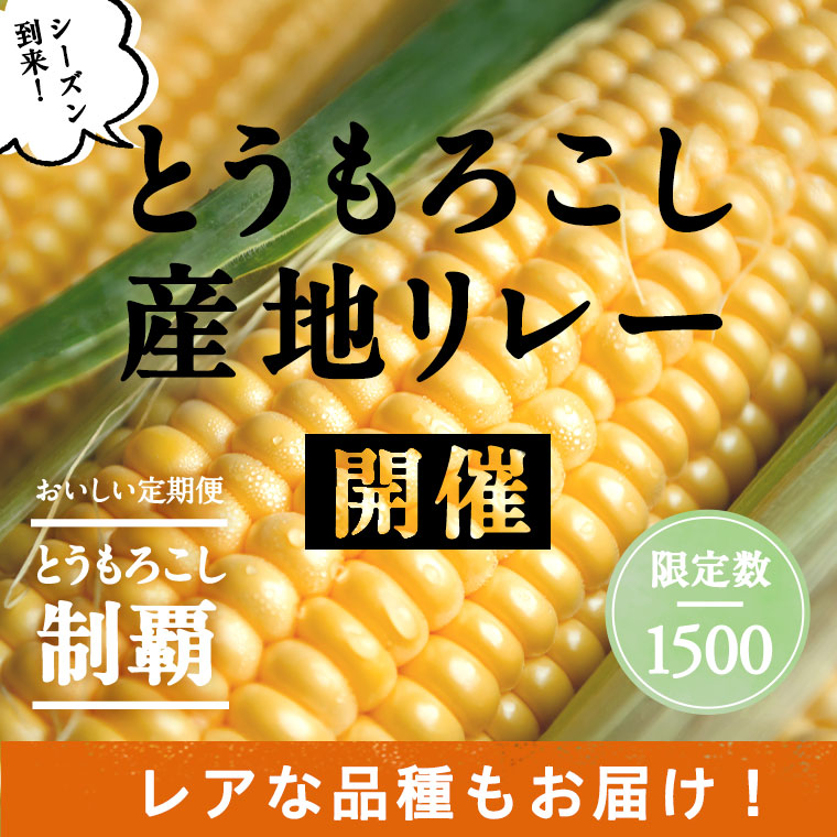 とうもろこし制覇