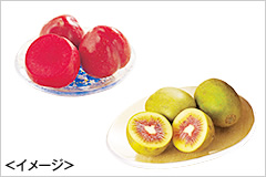 珍しい品種に出会える楽しみがあります♪