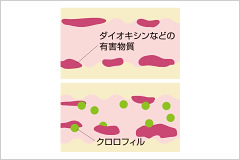 話題沸騰!ユーグレナの実力