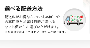 選べる配送方法