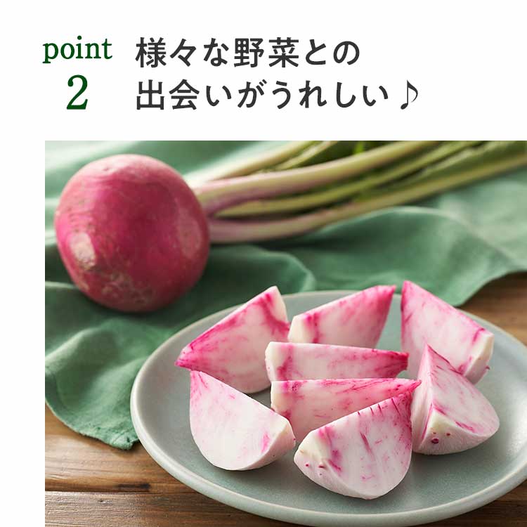 point2 様々な野菜との出会いがうれしい♪