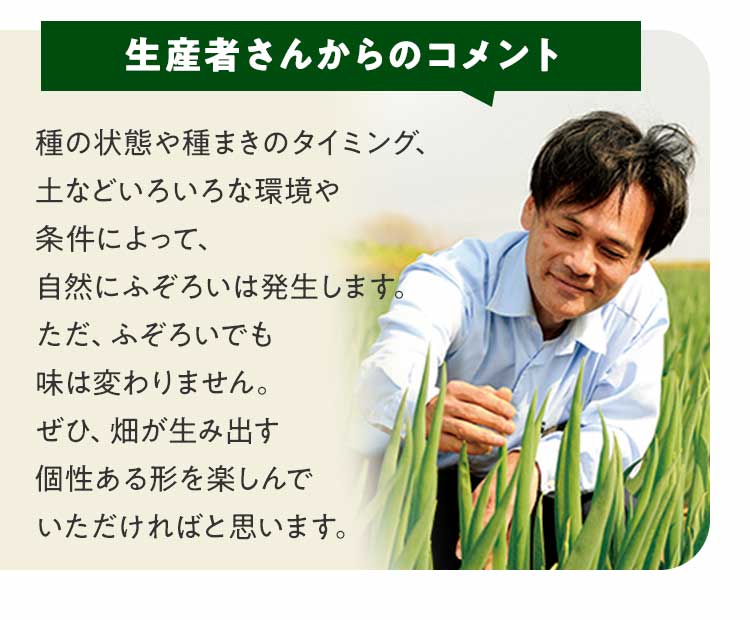 生産者さんからのコメント