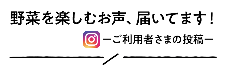 野菜を楽しむお声、届いてます!
