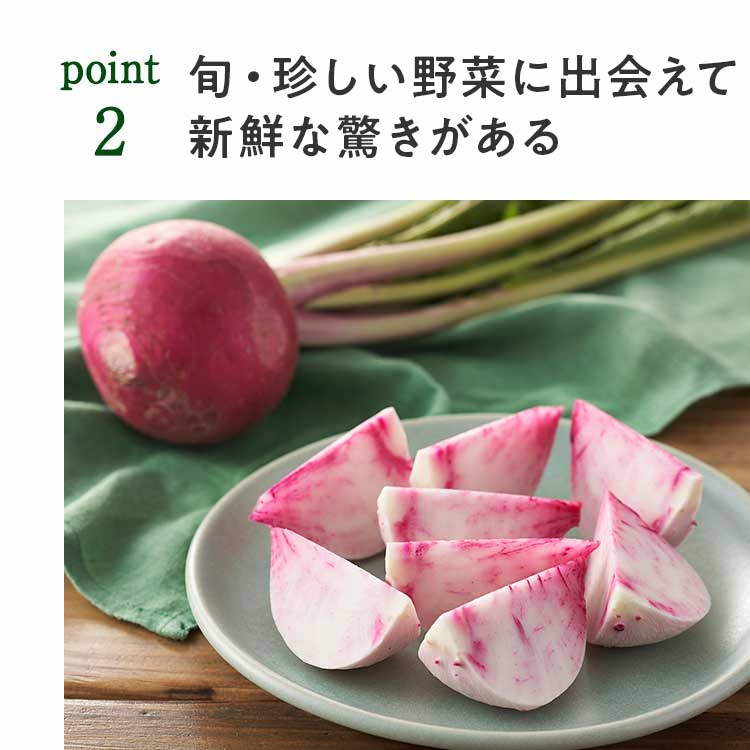 point2 様々な野菜との出会いがうれしい♪