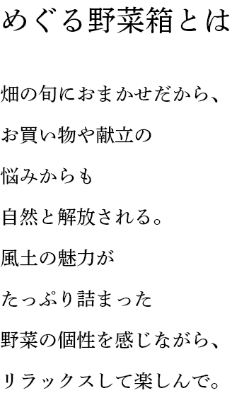 めぐる野菜箱とは