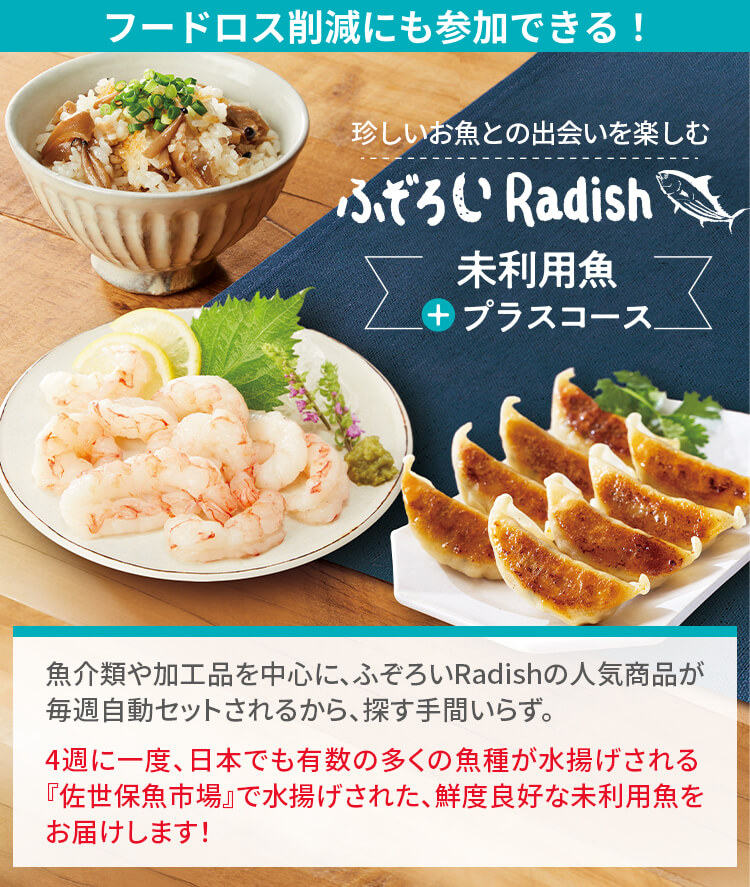 ふぞろいRadish未利用魚プラスコース