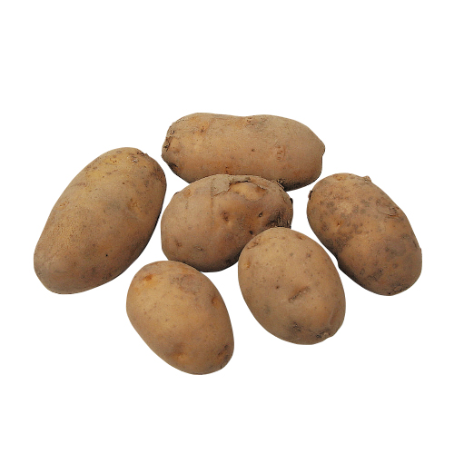 いやふど 野菜 果物いろいろ大図鑑 らでぃっしゅぼーや