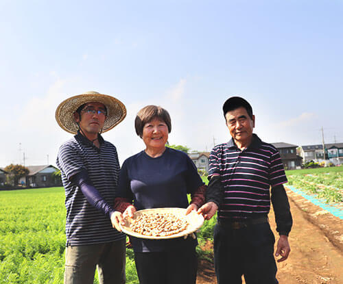 落花生が嬉しくない大豊作！産地の悲鳴