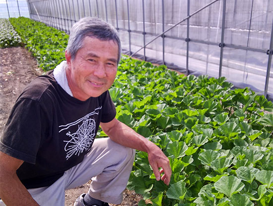 注目！ネバネバ夏野菜｢おかのり｣