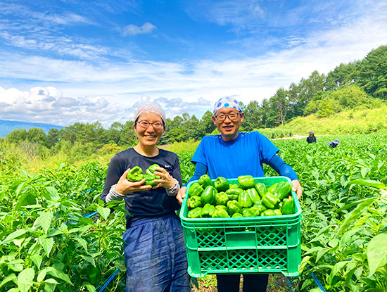 野菜作りの基本は、健康な土作り