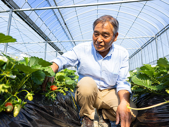 おいしさの理由は「土耕栽培」