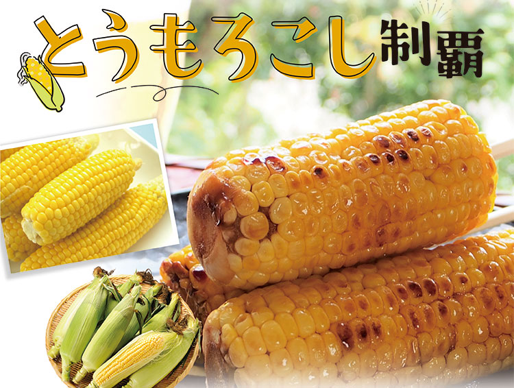 おいしい定期便「とうもろこし制覇」新登場！