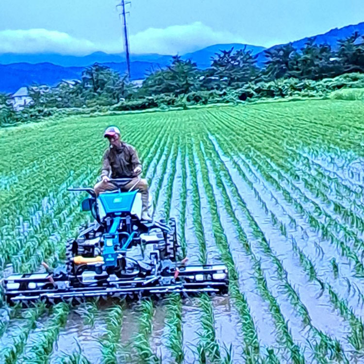 畑だより画像