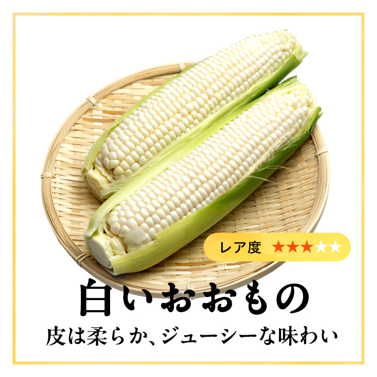 畑だより画像
