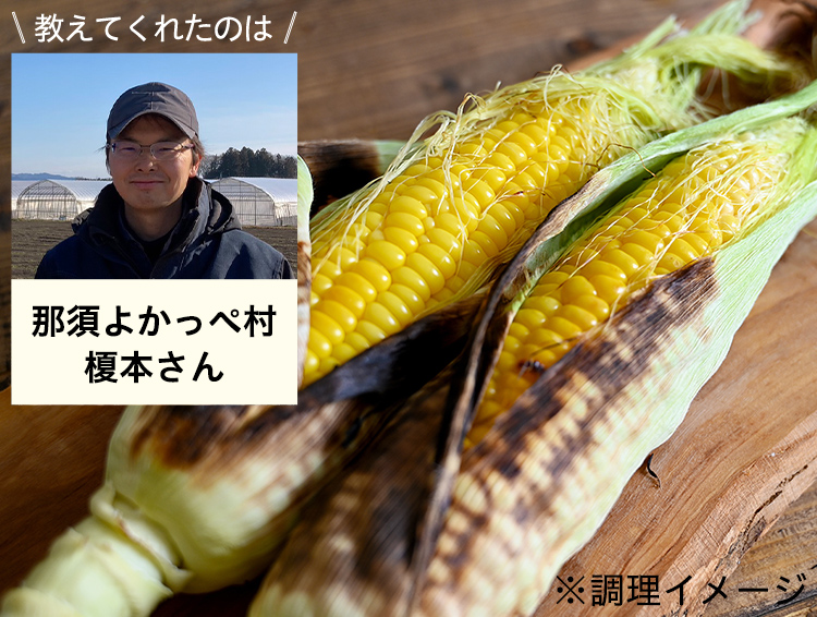 畑だより画像