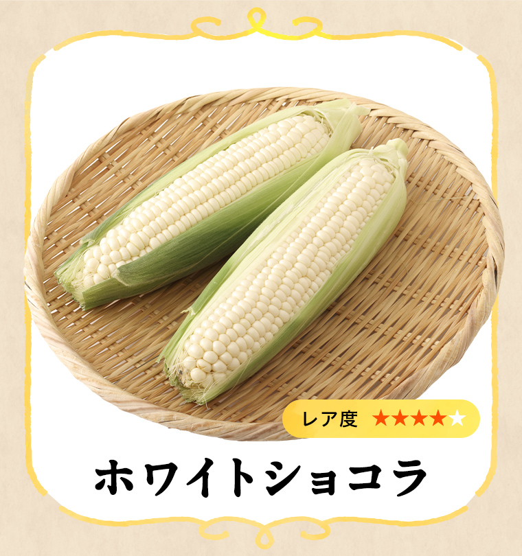 畑だより画像