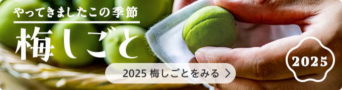 畑だより画像
