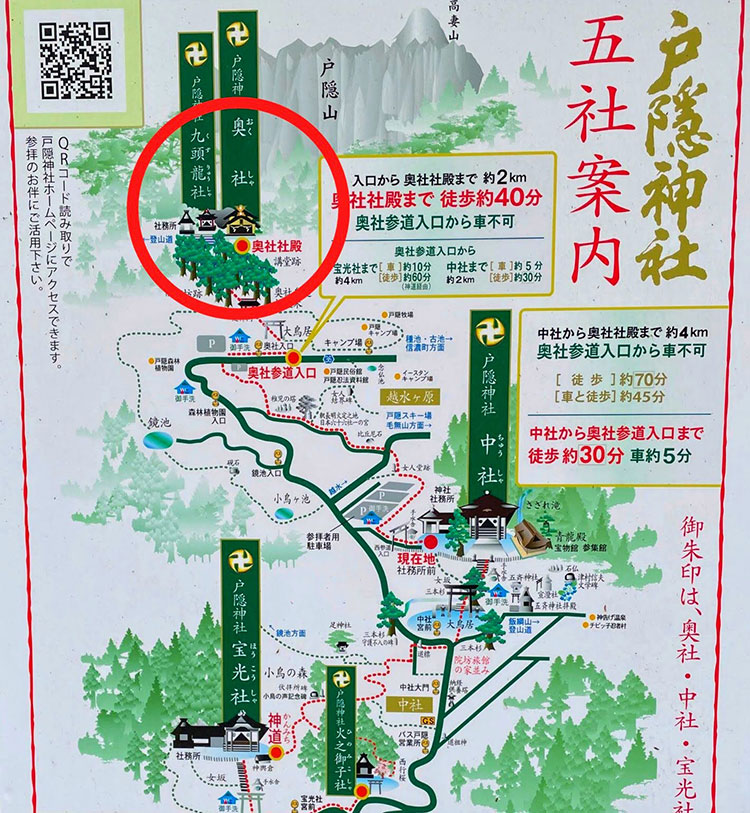 畑だより画像