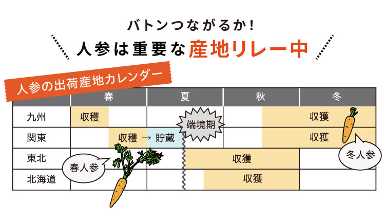 畑だより画像