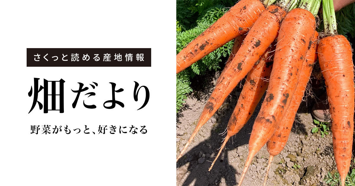 野菜がもっと、好きになる｜畑だより