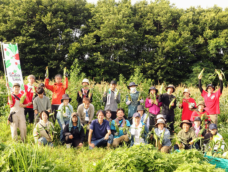 4時半集合！とうもろこし「ガチ」収穫会