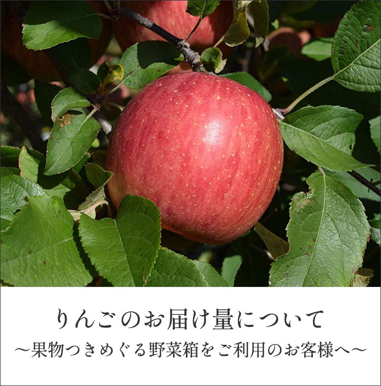 畑だより画像