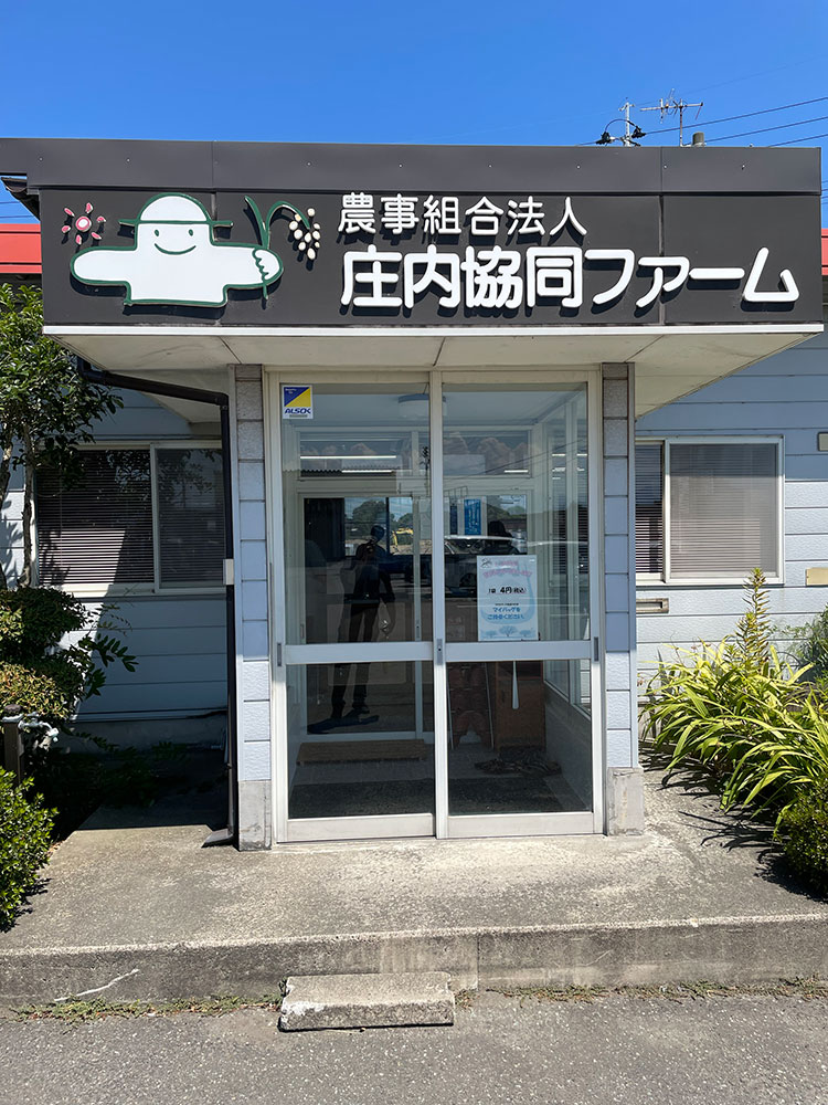 畑だより画像