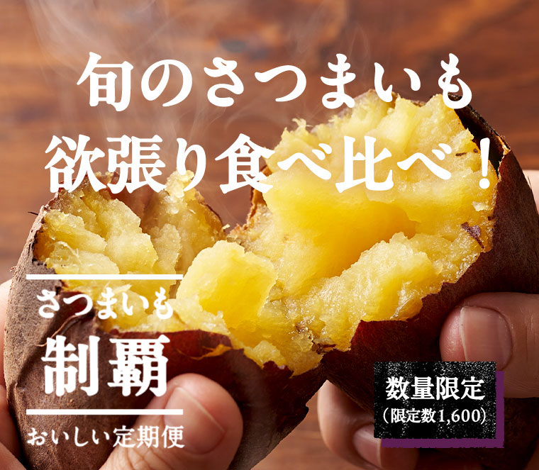 畑だより画像
