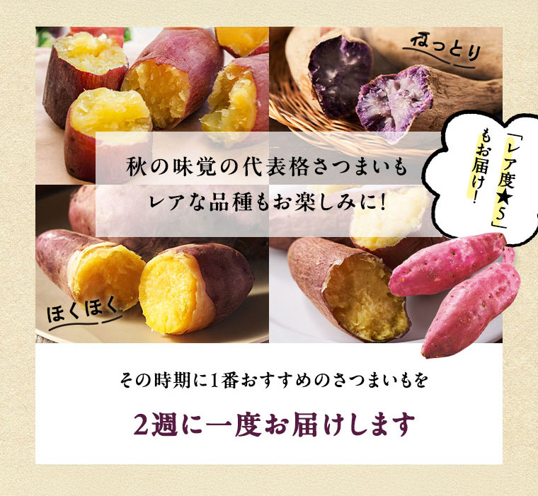 畑だより画像