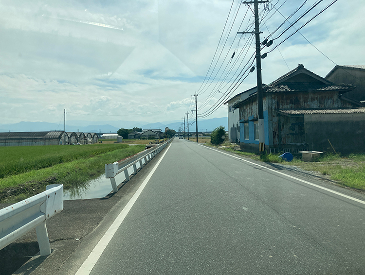 畑だより画像
