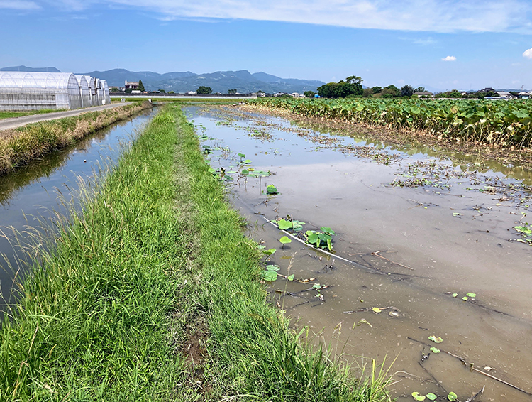 熊本豪雨の爪痕