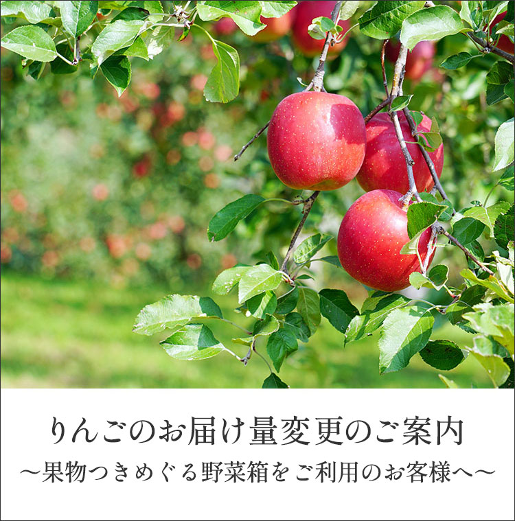 畑だより画像