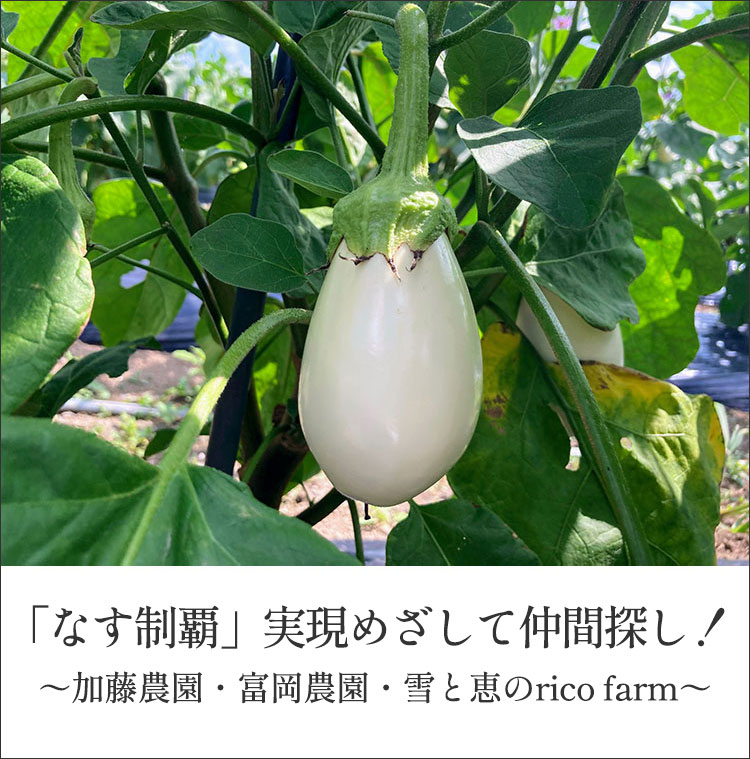 畑だより画像