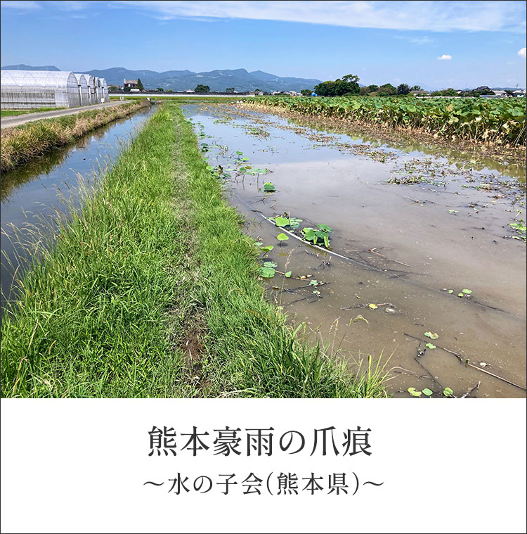 畑だより画像