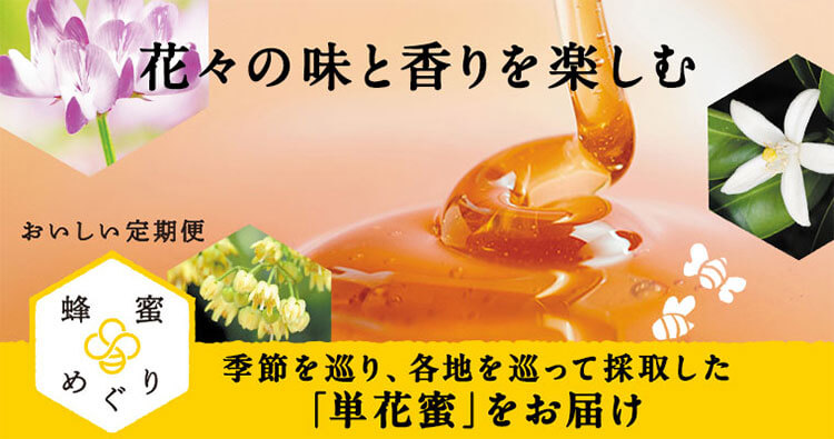 畑だより画像