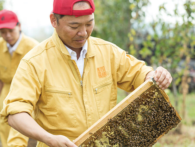 熊本地震、被災後の再出発