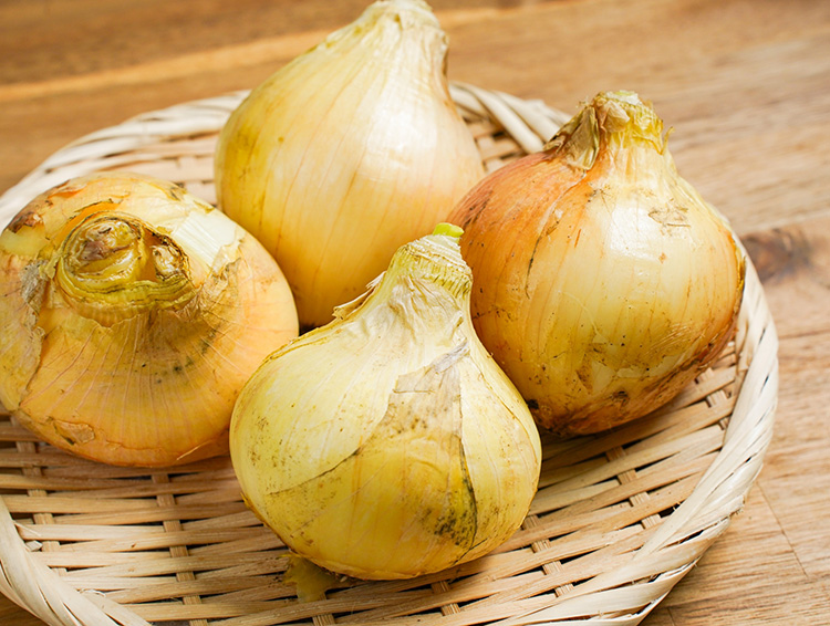 九州の新玉ねぎ、救世主となるか