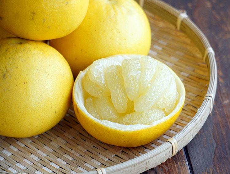 春を告げる柑橘、土佐文旦