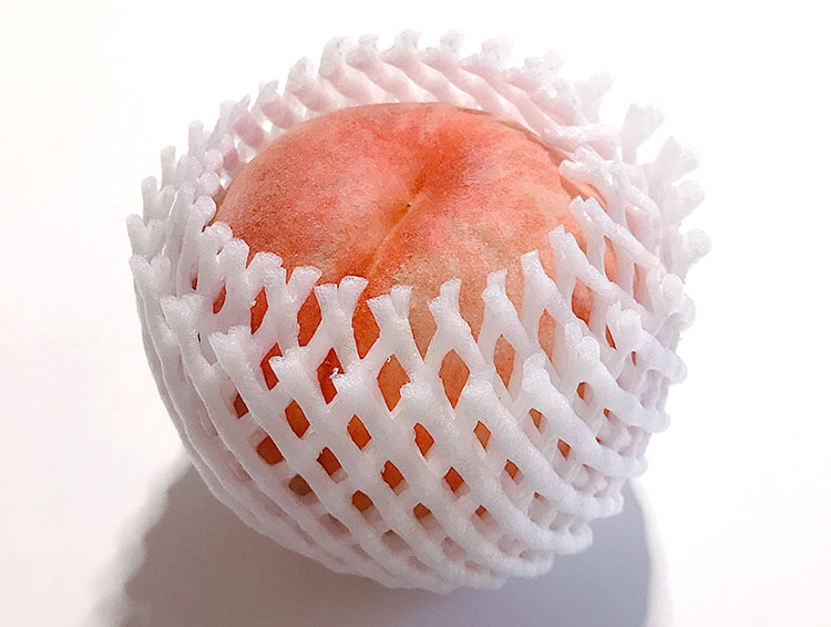 畑だより画像