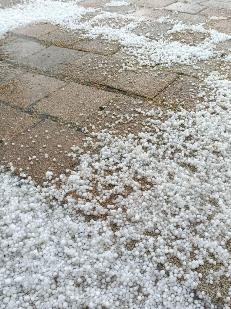 畑だより画像