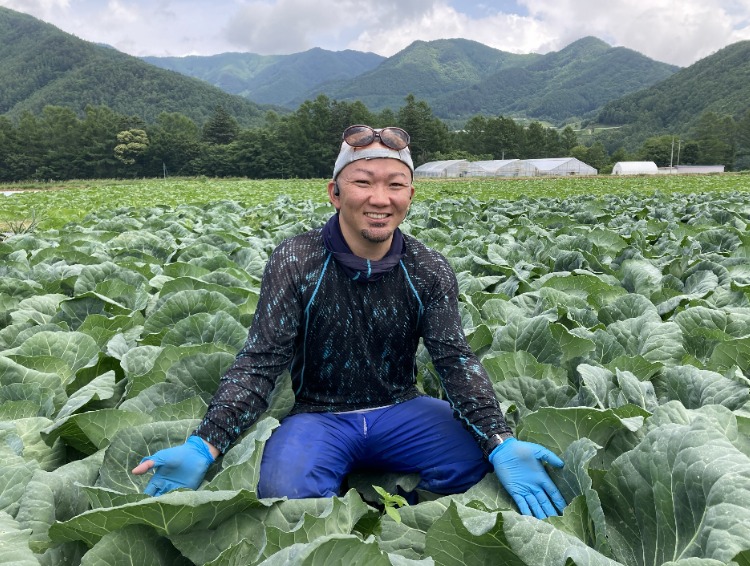 畑だより画像