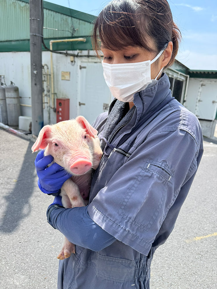 畑だより画像