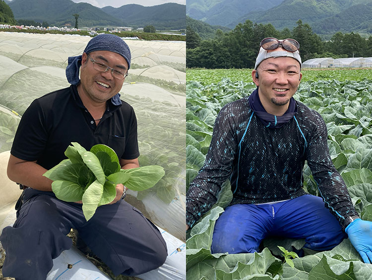 畑だより画像