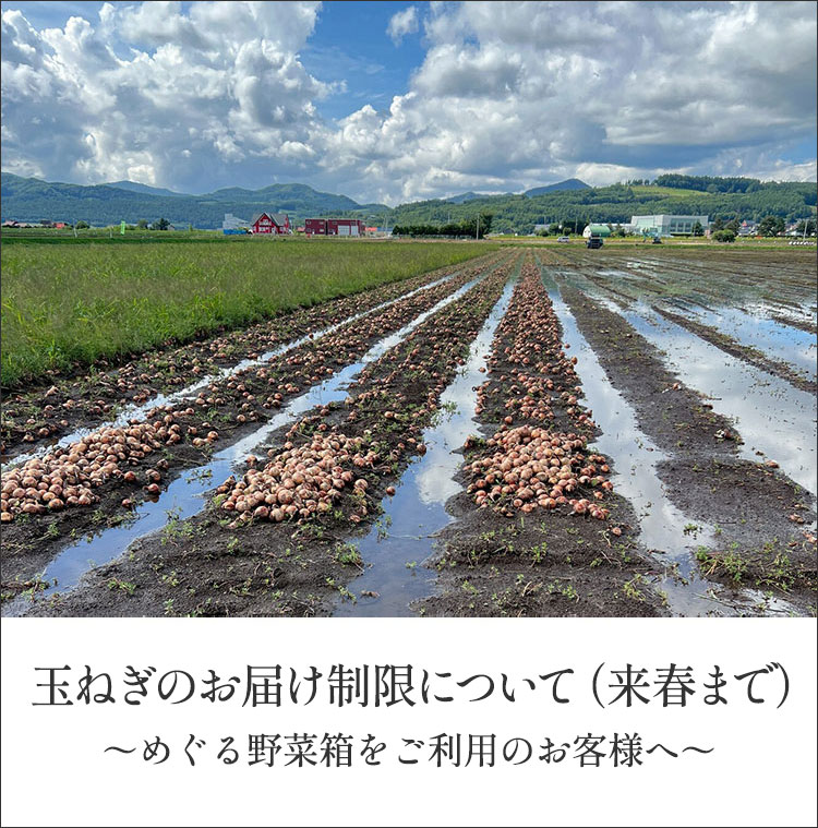 畑だより画像