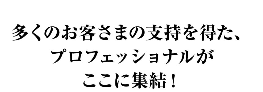 プロフェッショナルが集結