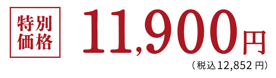特別価格 11,900円（税込12,852円）